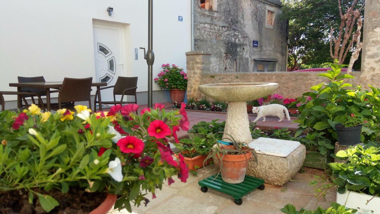 Apartmani Filip Zadar Diklo Exterior photo